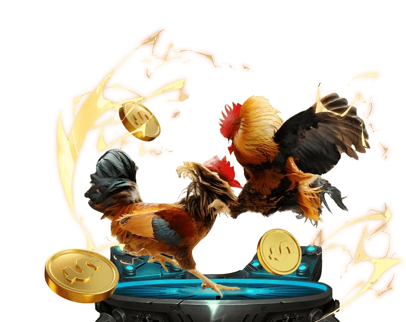 Cá cược Đá Gà tại sam86